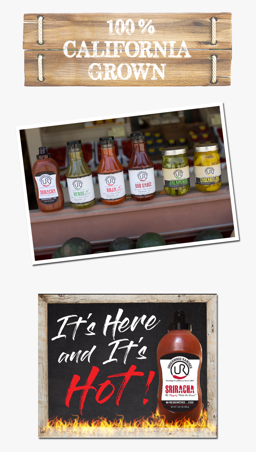 Transparent Sriracha Bottle Png - Bloody Mary, Png Download