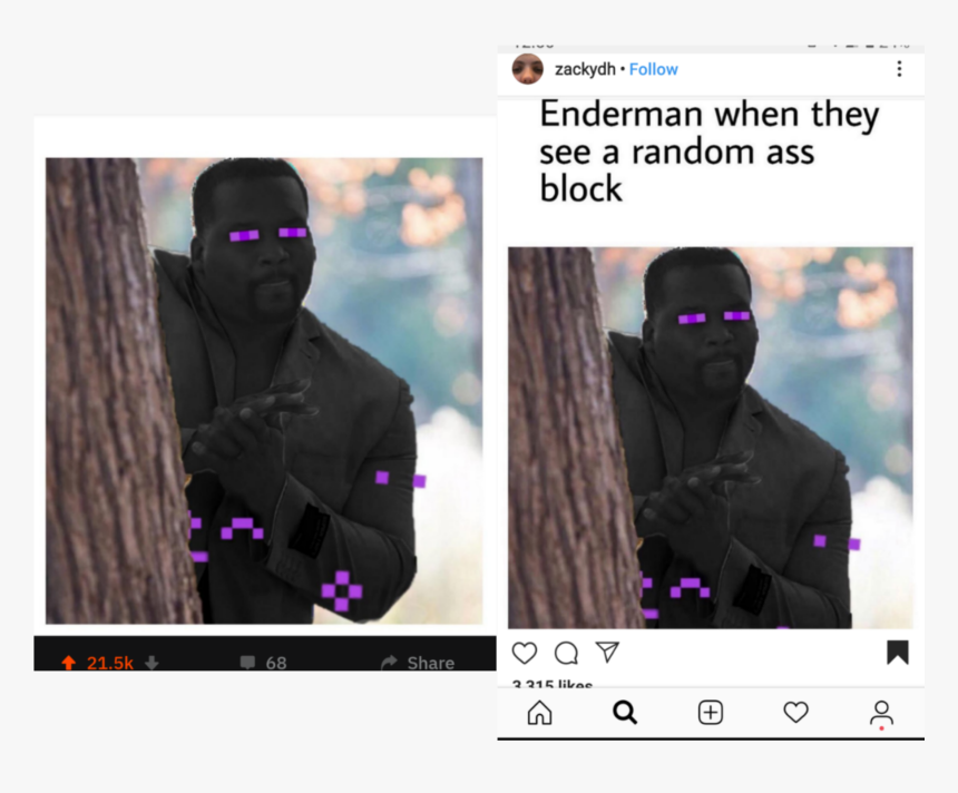 Zackydh Follow Enderman When They See A Random Ass - Enderman Sees A Random Block, HD Png Download