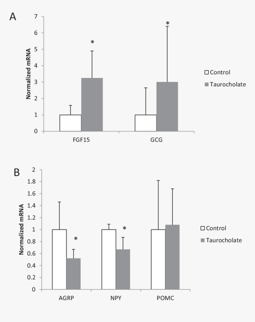 Diagram, HD Png Download