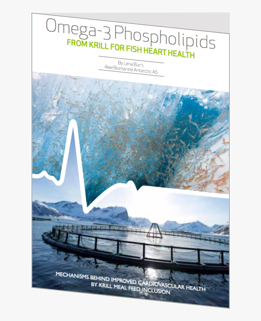 Poster, HD Png Download