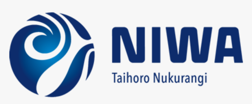 Niwa - Graphic Design, HD Png Download