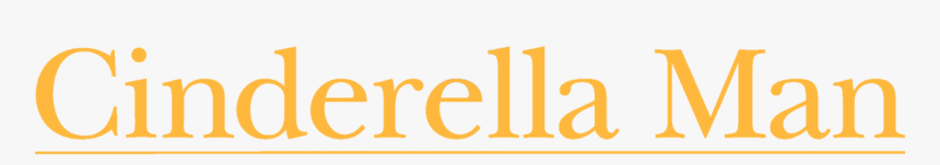 Jandy Pool Products, HD Png Download