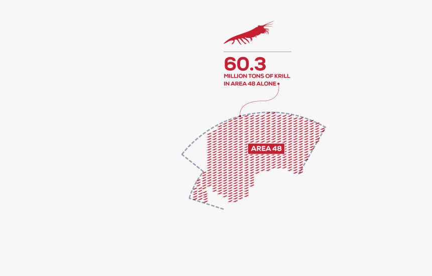 Transparent Krill Png - Krill Fishery Area 48, Png Download