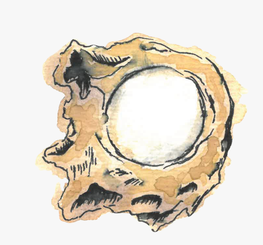 Sbc Ingredient Royaljelly Web - Sketch, HD Png Download