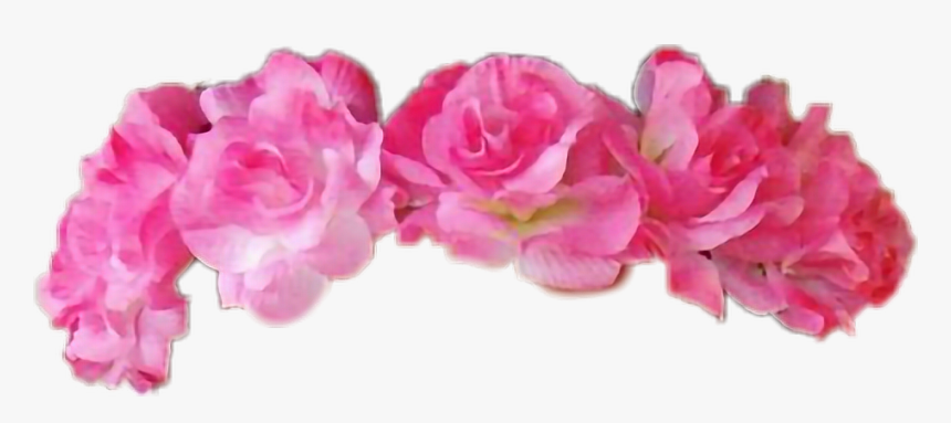 Transparent Rose Crown Png - Artificial Flower, Png Download