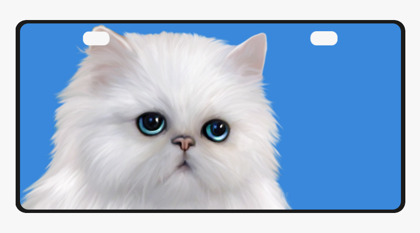 White Persian Cat License Plate - Kitten, HD Png Download