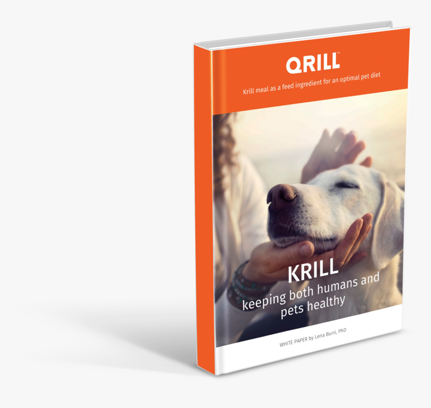 Companion Dog, HD Png Download