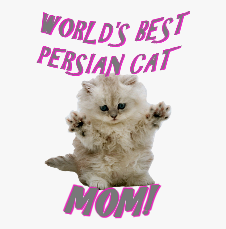 Asian, HD Png Download