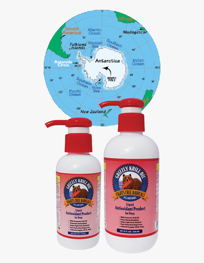 Grizzly Krill Oil - Antarctica Continent Information, HD Png Download