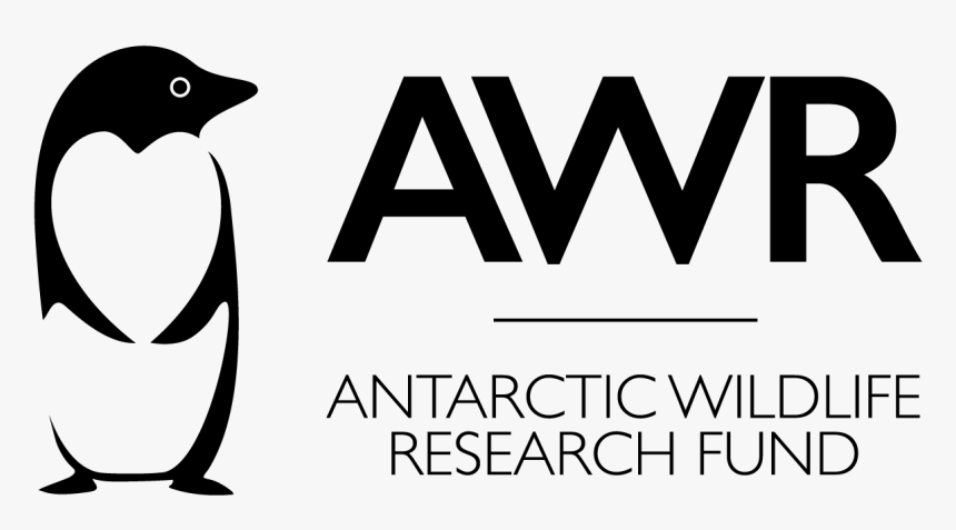 Adã©lie Penguin, HD Png Download