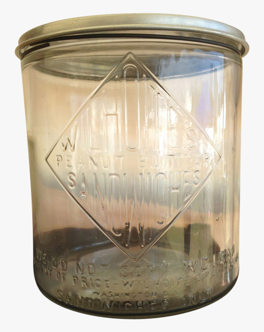 Insect, HD Png Download