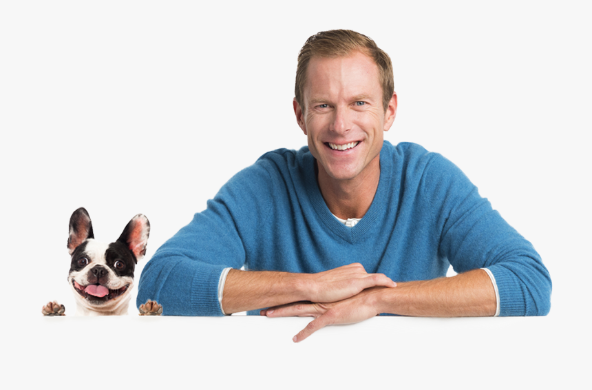 Banner - Companion Dog, HD Png Download