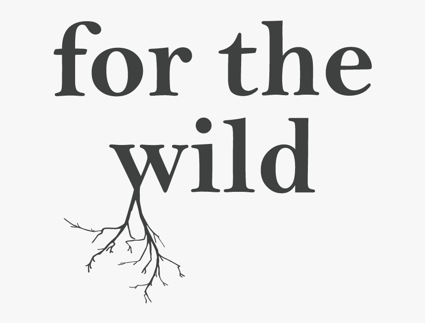 For The Wild Logo - Mohawk Flooring, HD Png Download