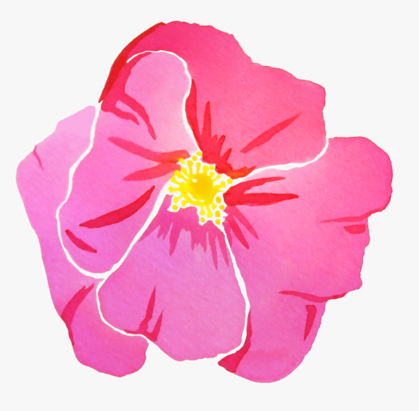 Joanne Imprint Paige Poppe Art - Primrose, HD Png Download