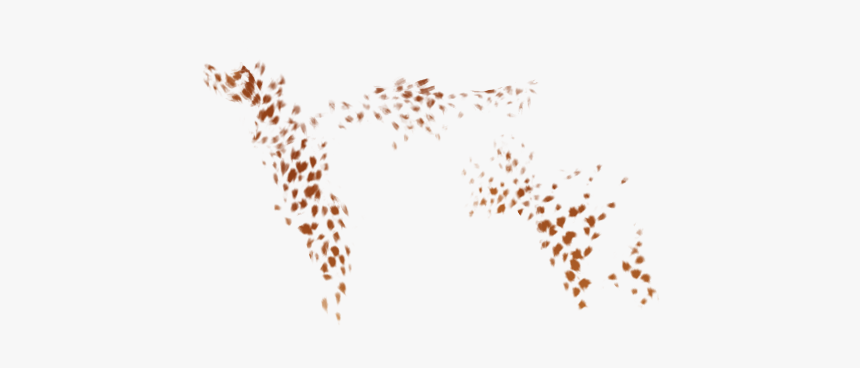 Stencil, HD Png Download