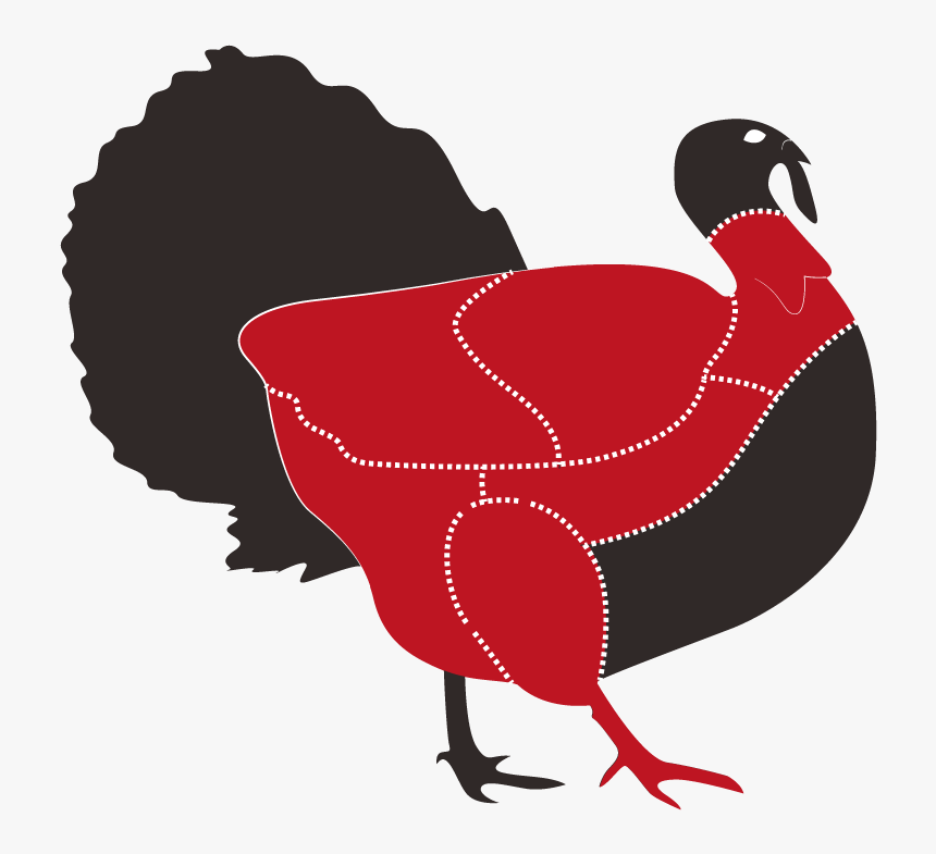 Transparent Pavo Png - Animales Carnes Vector, Png Download