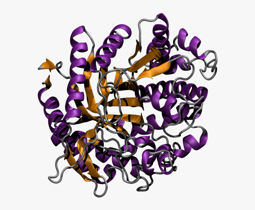 Transparent Light Source Png - Non Aqueous Homogenous Biocatalytic Conversion Of Polysaccharides, Png Download