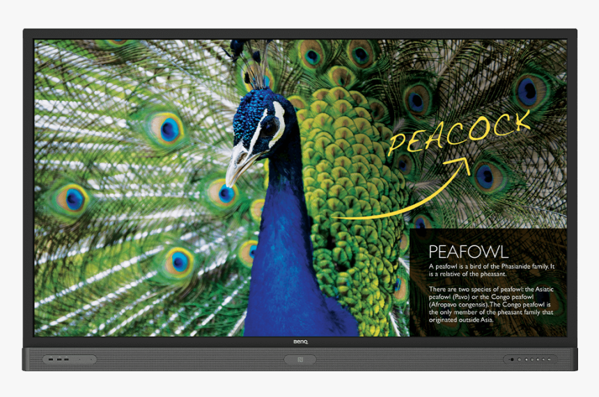 Benq Rp860s Education Interactive Flat Panel, HD Png Download