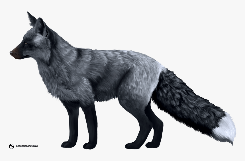 Red Foxes Png, Transparent Png