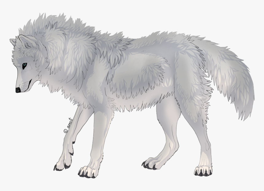 Canis Lupus Tundrarum, HD Png Download
