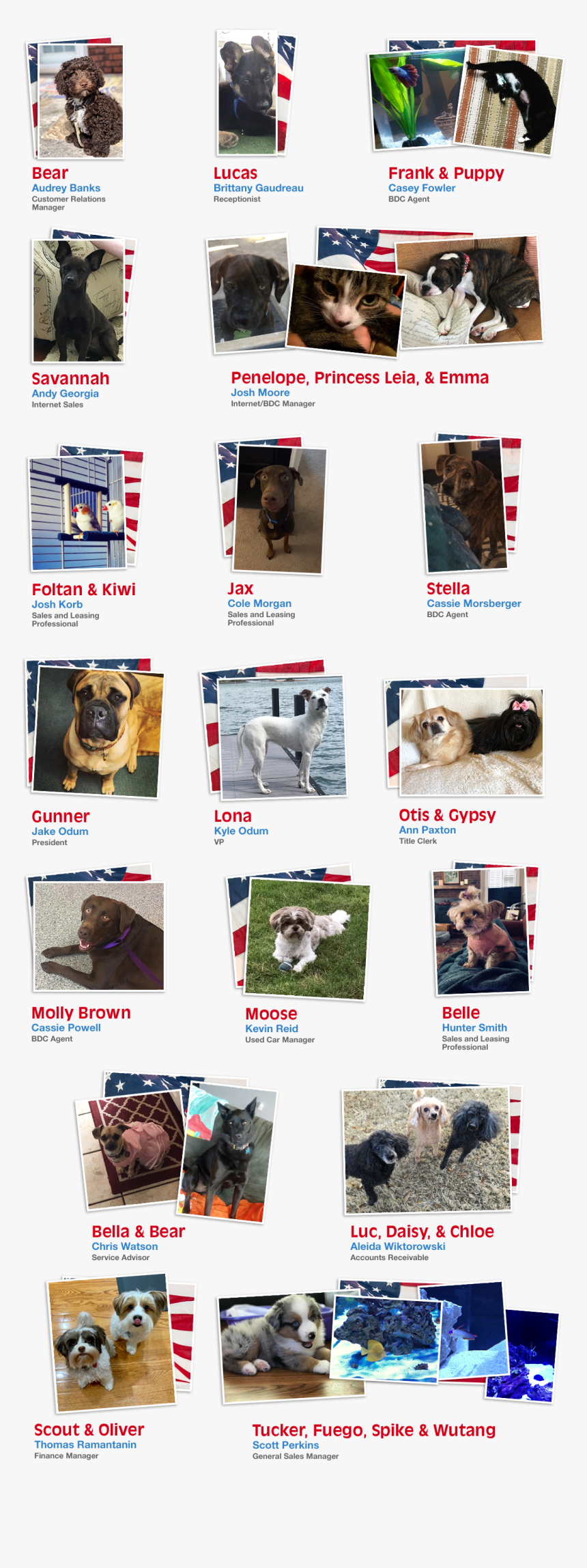 Employee Pets, HD Png Download