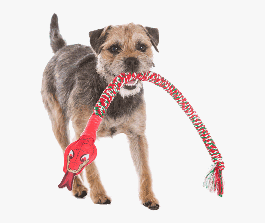 Dog Catches Something, HD Png Download