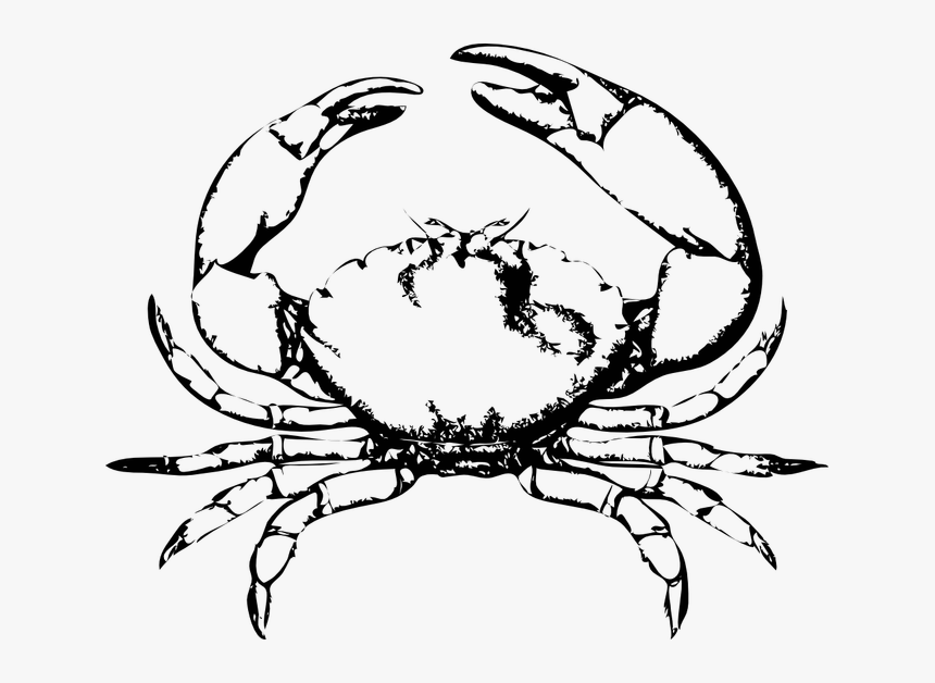 Crab Frames Illustrations Hd - Black And White Crab, HD Png Download