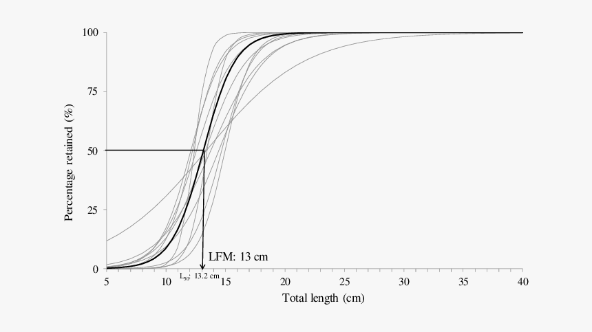 Line Art, HD Png Download