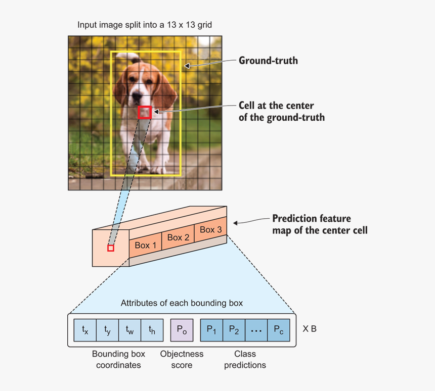 Harrier, HD Png Download