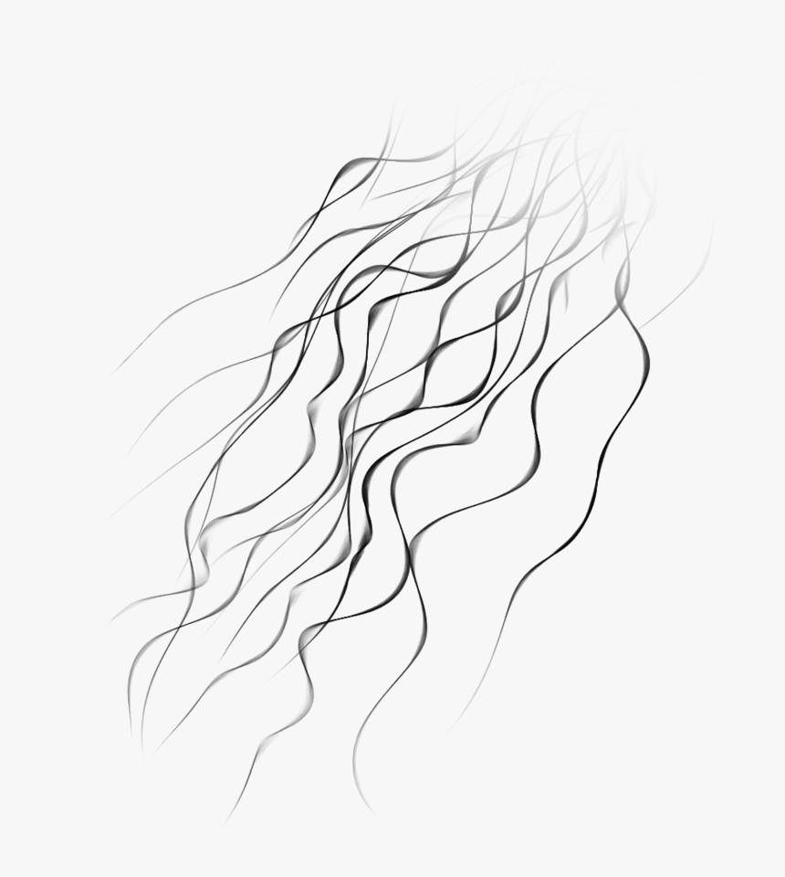 Grunge Shape Png -wiry Fur - Line Art, Transparent Png