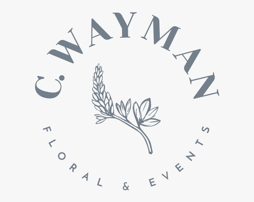 C Wayman Floral And Events - Illustration, HD Png Download