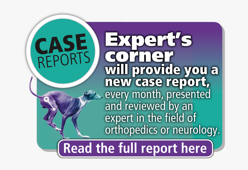 Case-reports - Greyhound, HD Png Download