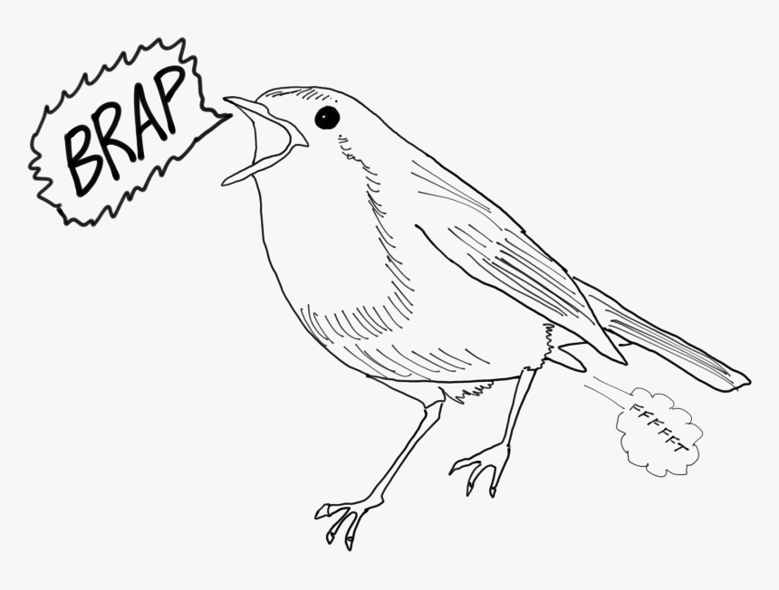 Emberizidae, HD Png Download