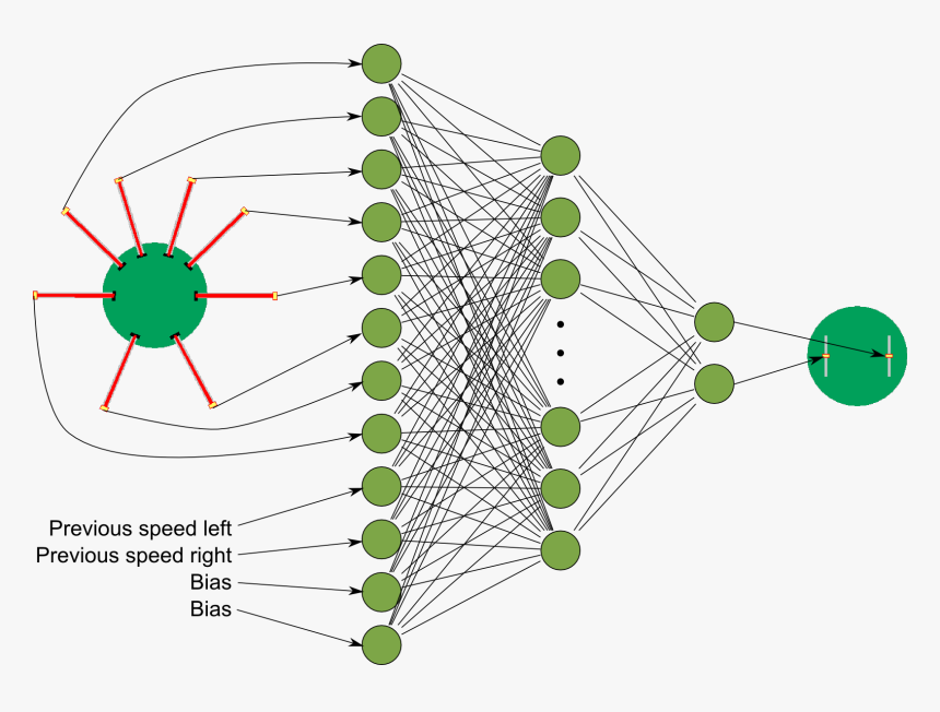 Artificial Neural Network Pso - Artificial Neural Network Insect, HD Png Download