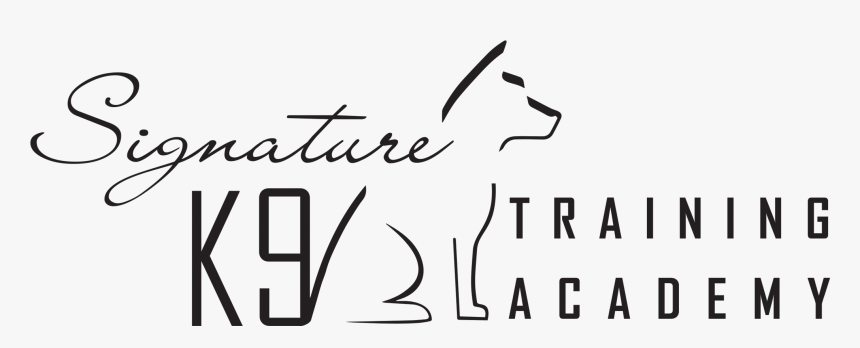 Sugar, HD Png Download