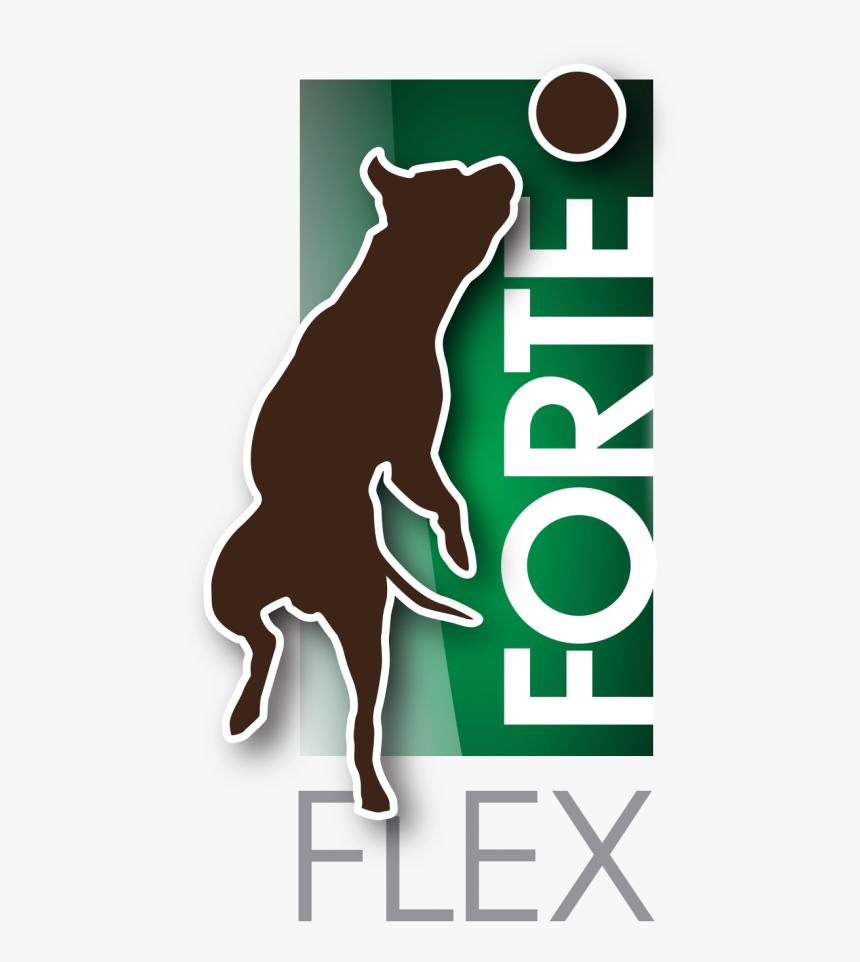 Dog Catches Something, HD Png Download