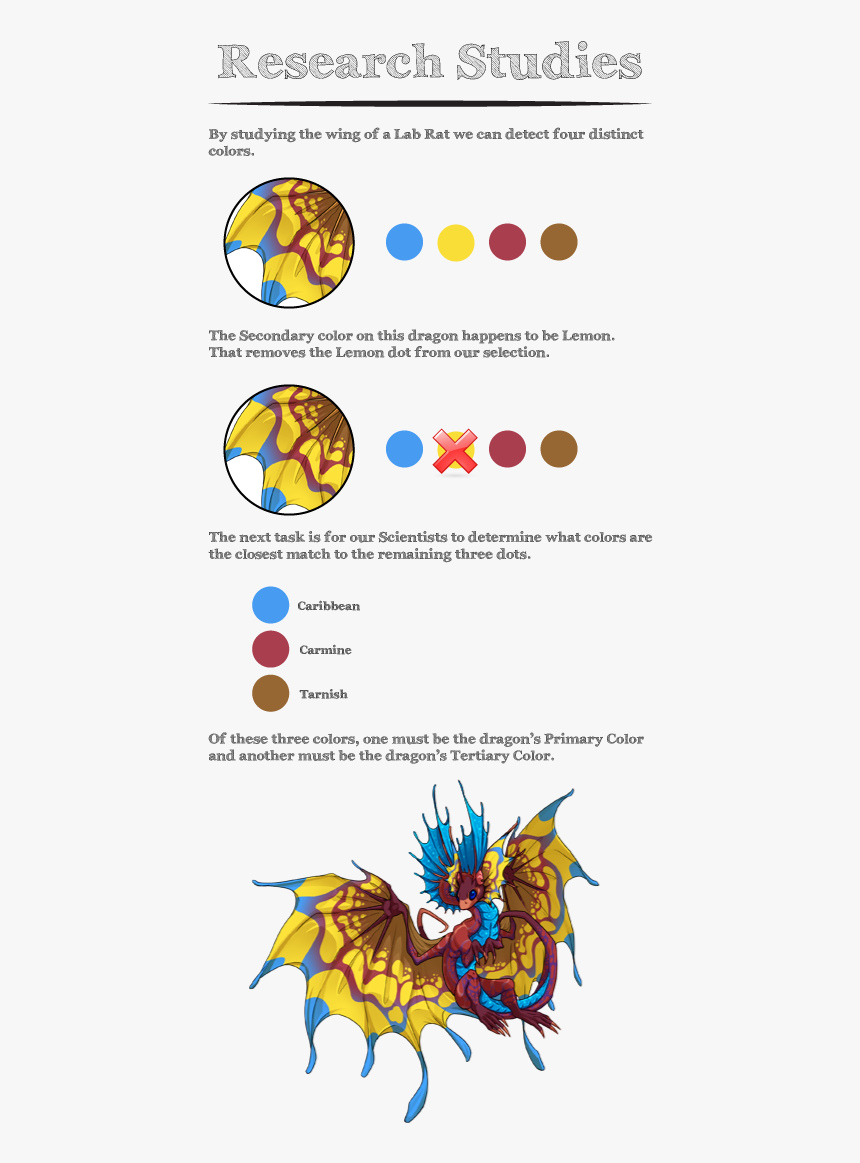 Xsmqyjl - Circle, HD Png Download