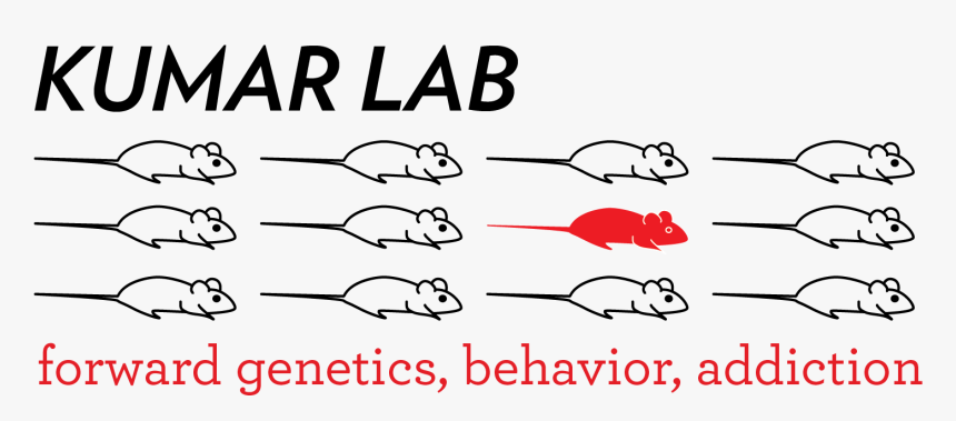 Sacramento Municipal Utility District, HD Png Download