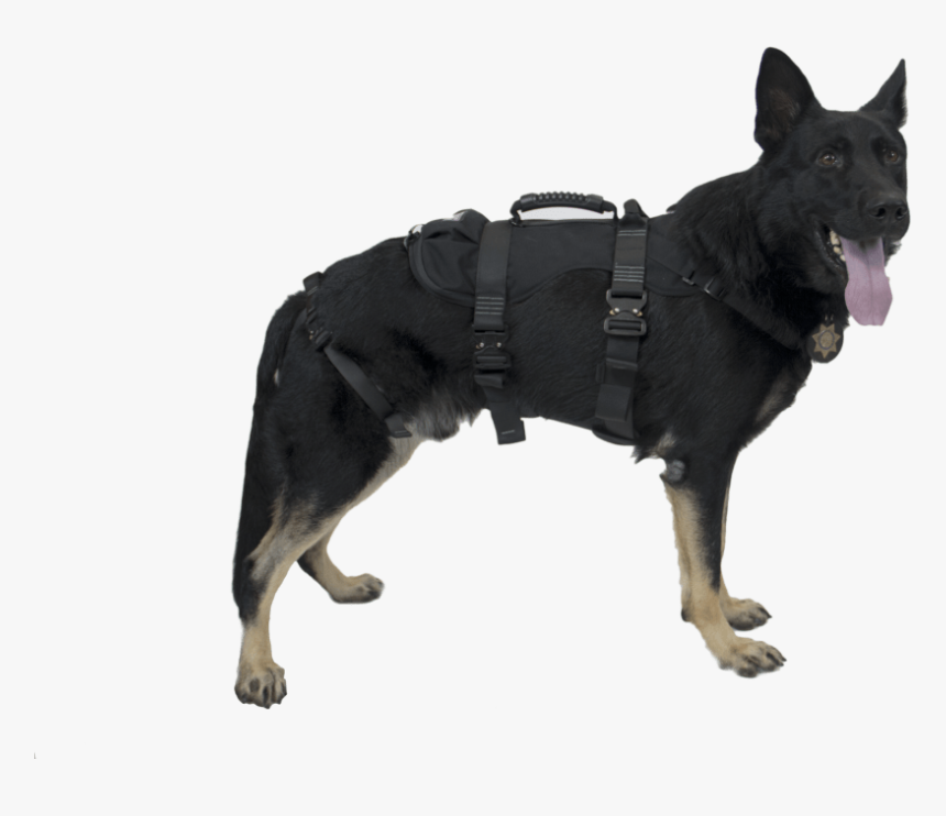 Cmc Rescue K9 Rappel Harness, HD Png Download