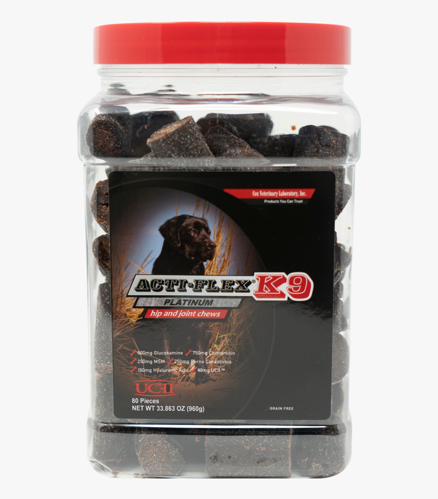 Stallion, HD Png Download