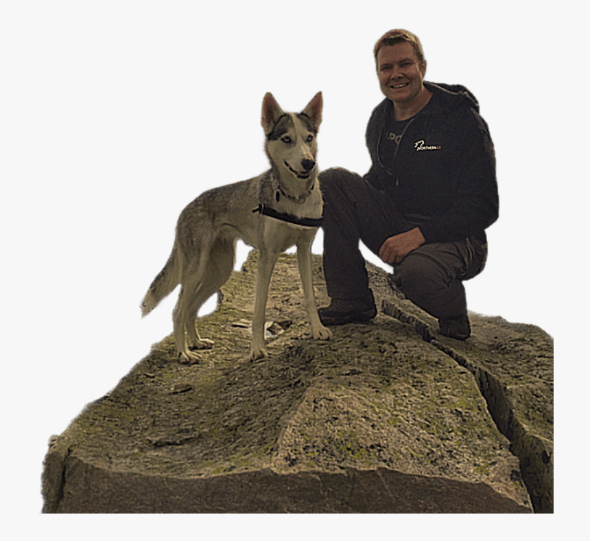 Donkey, HD Png Download