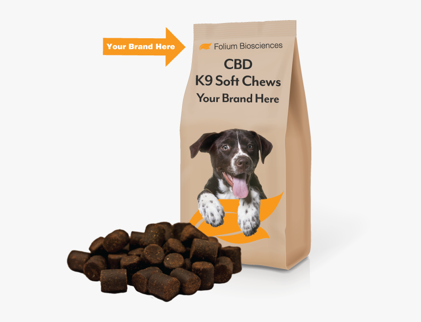 Companion Dog, HD Png Download