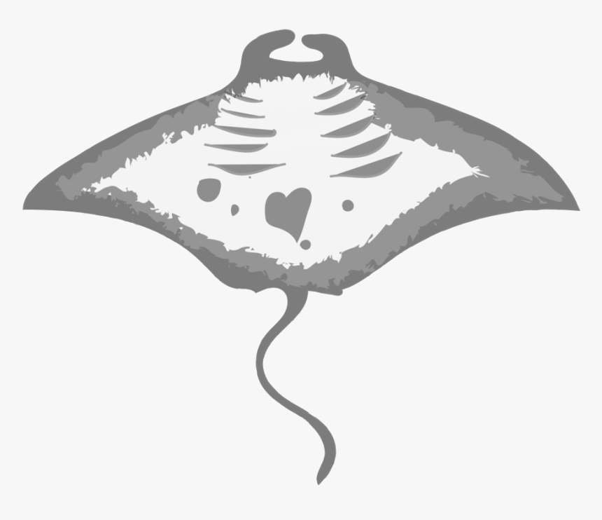 Transparent Manta Ray Png - Eagleray, Png Download