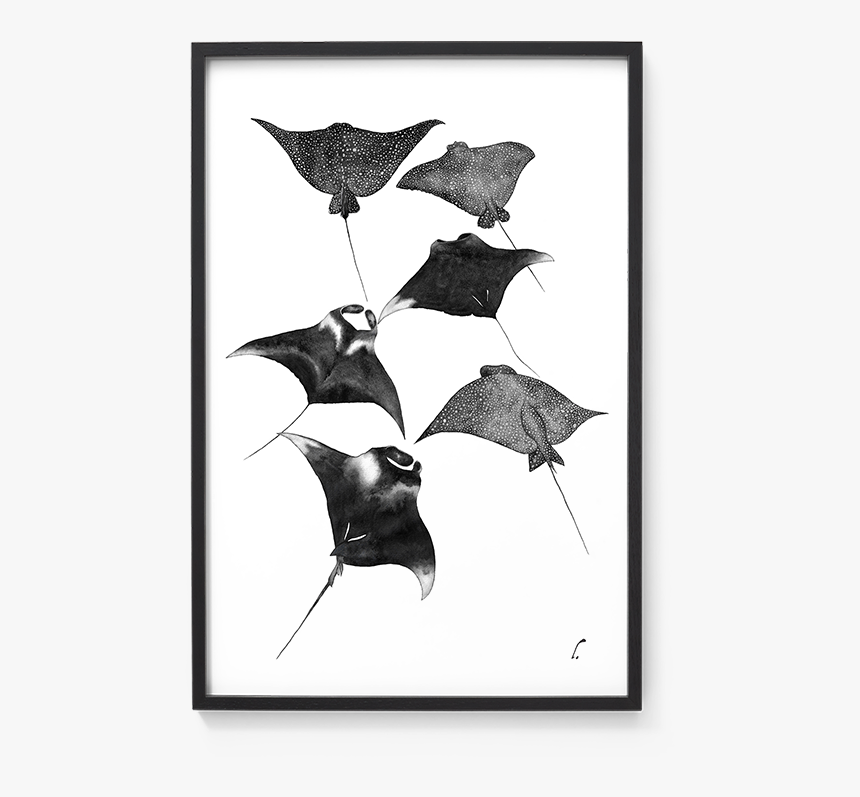 A Watercolor Artwork Inspired By Sea Creatures And - Eagleray, HD Png Download