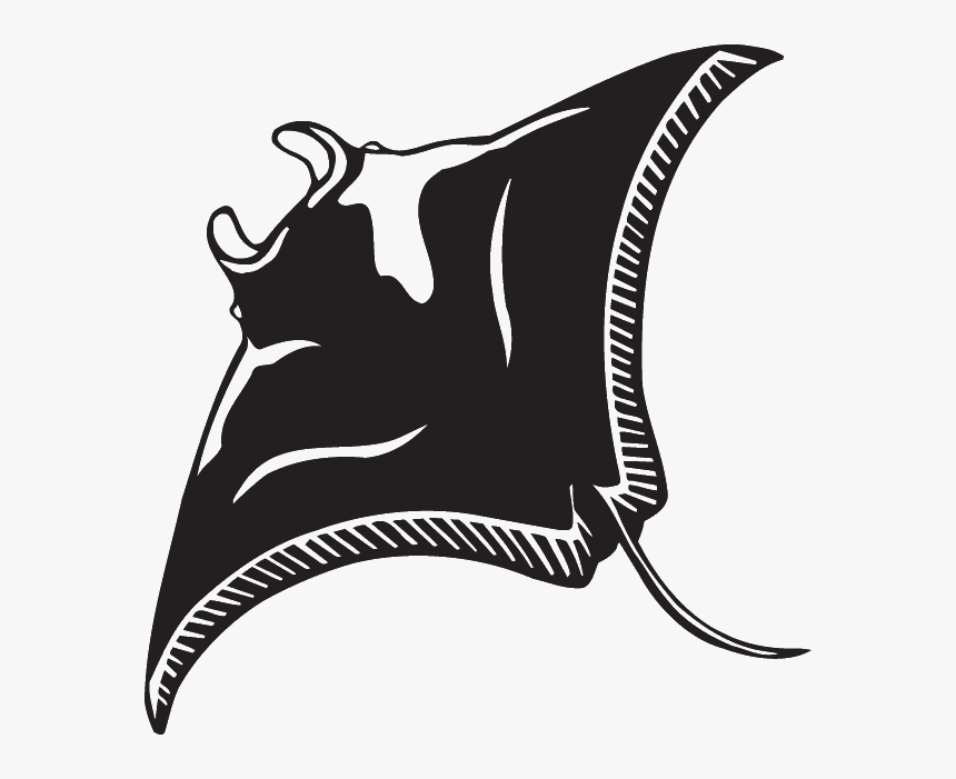 Clip Art Manta Ray Illustration, HD Png Download