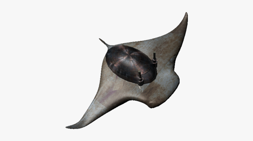 Fish, HD Png Download