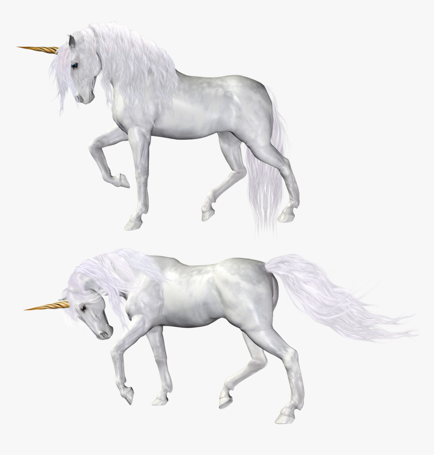 Unicorn - Unicorn Drawing Bad, HD Png Download