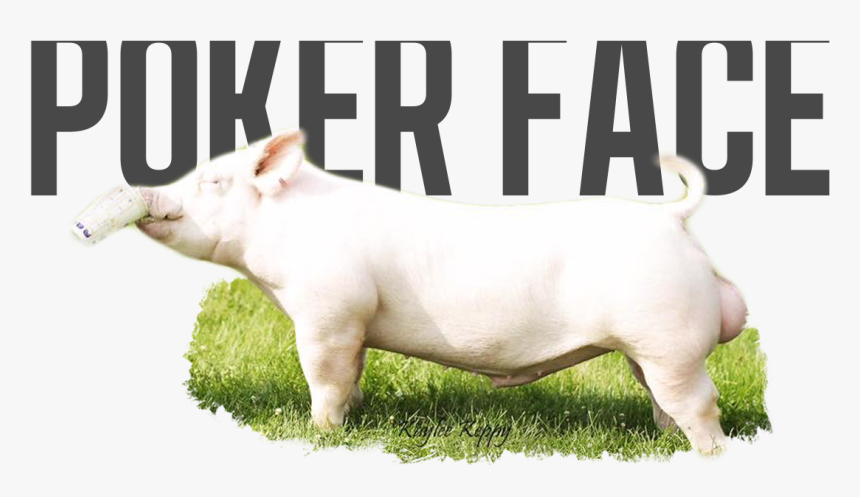 Domestic Pig, HD Png Download