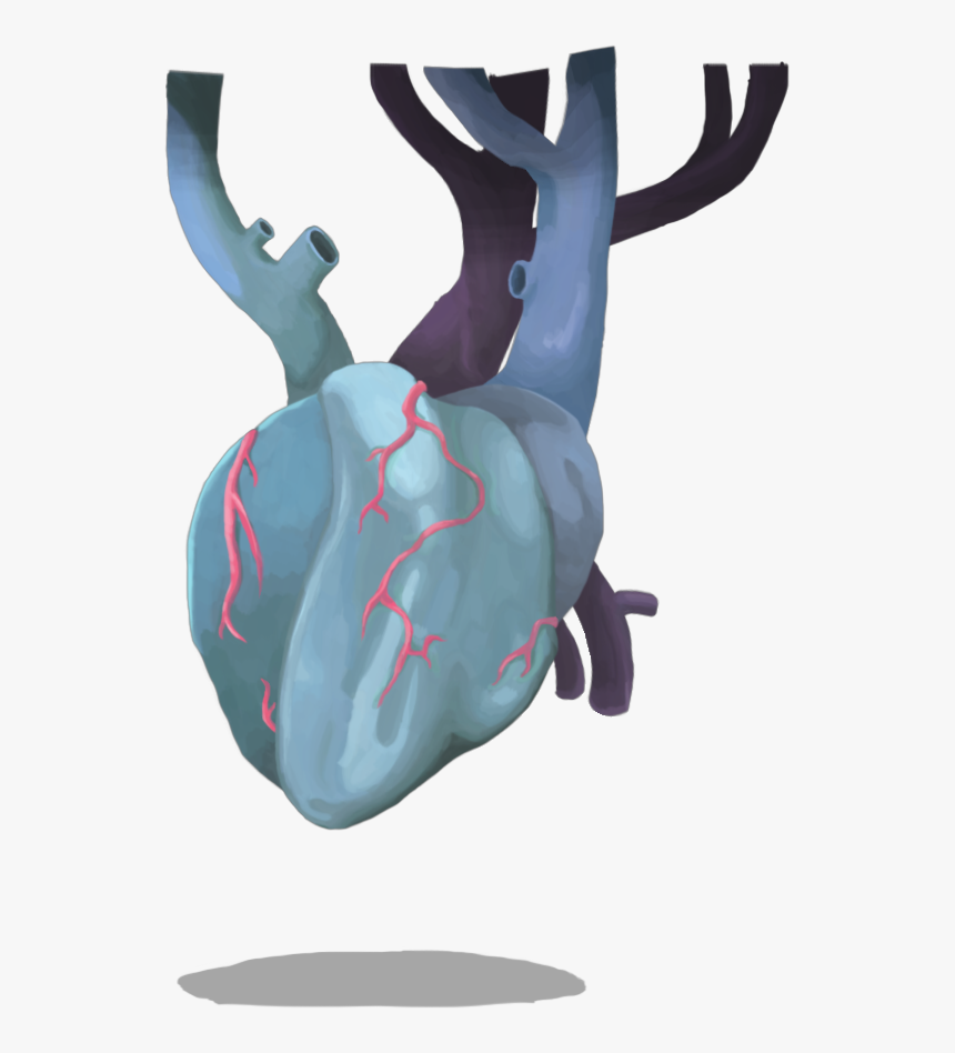 Slay The Spire Wiki - Corrupted Heart Slay The Spire, HD Png Download