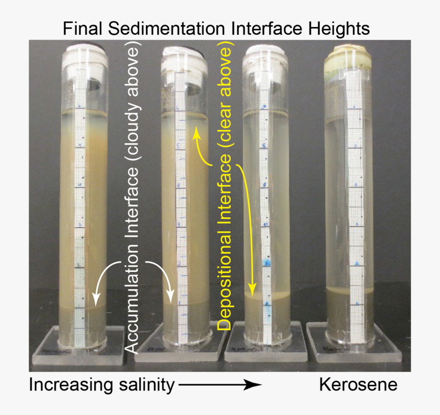 Photograph Of Sedimentation Test Definitions - Sedimentation Test, HD Png Download